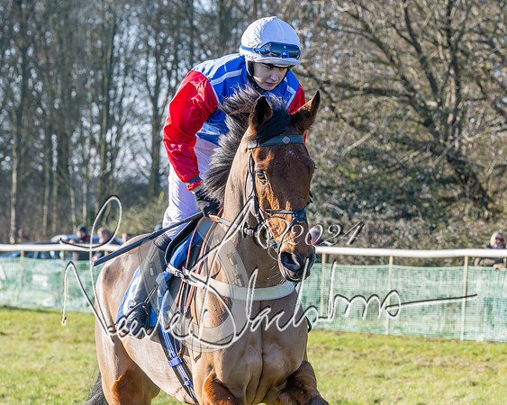 Race 3 - PPORA Novice Riders (99 of 125)