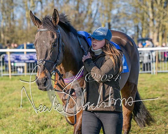 Race 3 - PPORA Novice Riders (101 of 125)