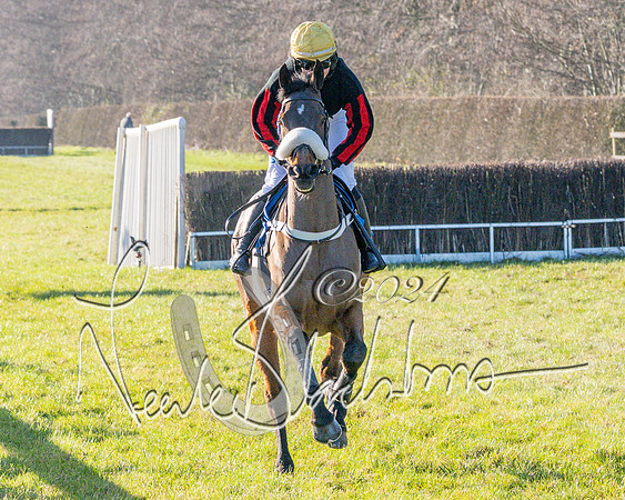Race 3 - PPORA Novice Riders (92 of 125)