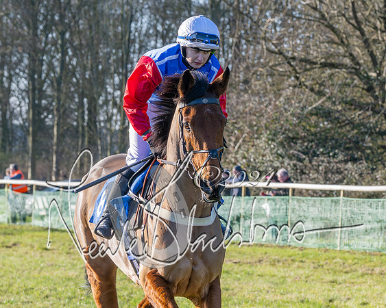 Race 3 - PPORA Novice Riders (100 of 125)