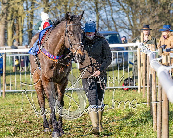 Race 3 - PPORA Novice Riders (103 of 125)