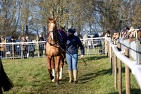 Race 3 - PPORA Novice Riders (114 of 125)