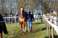 Race 3 - PPORA Novice Riders (115 of 125)