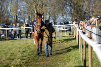 Race 3 - PPORA Novice Riders (118 of 125)