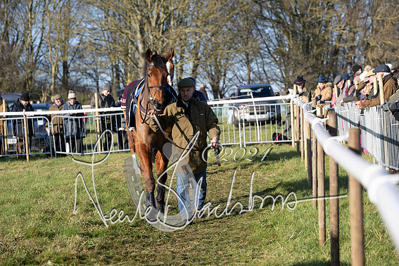 Race 3 - PPORA Novice Riders (118 of 125)