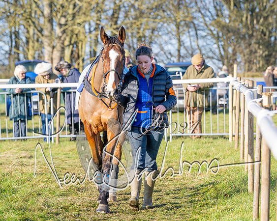 Race 4 - Ladies Open (6 of 43)