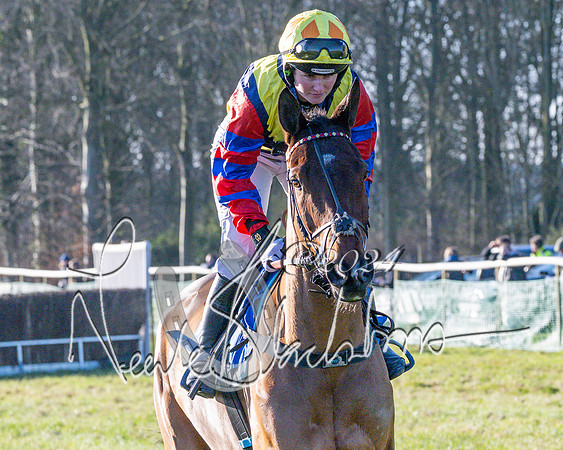Race 4 - Ladies Open (13 of 43)