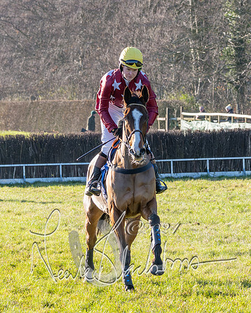 Race 4 - Ladies Open (20 of 43)
