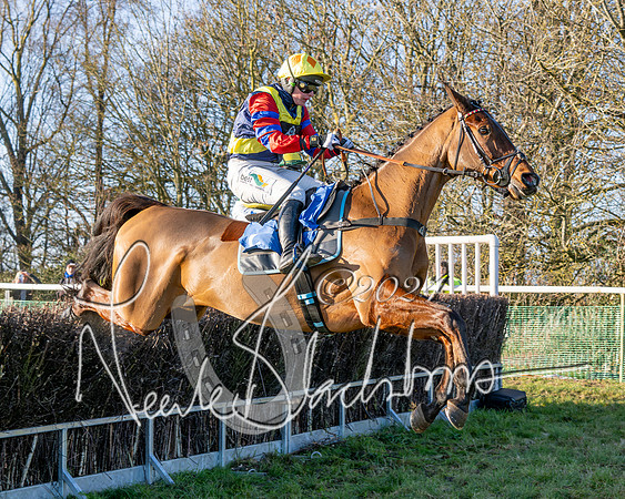 Race 4 - Ladies Open (30 of 43)