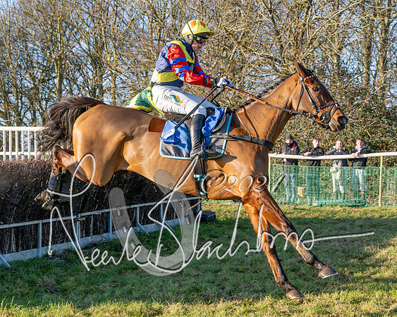 Race 4 - Ladies Open (32 of 43)