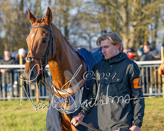 Race 6 - Restricted (4 of 116)