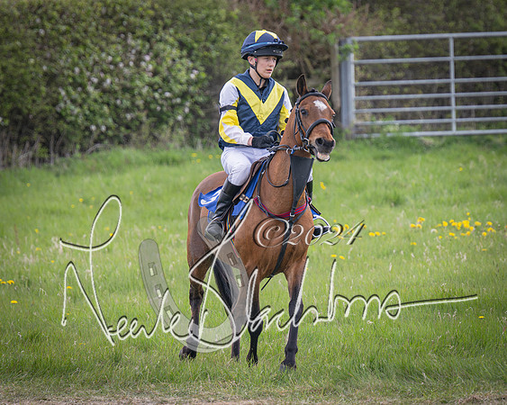 Pony Race 1 (6 of 61)-