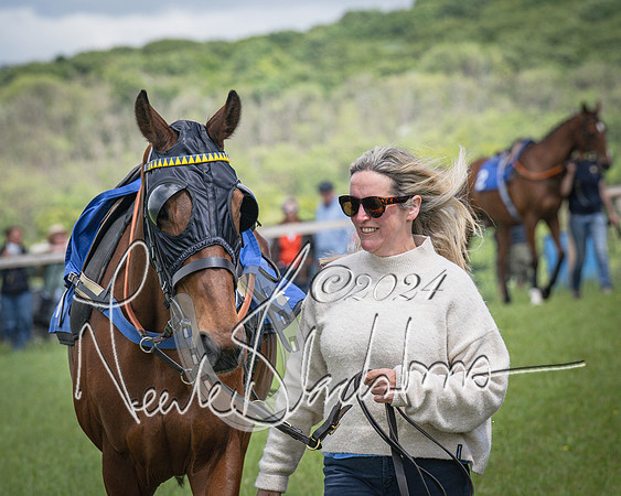 Race 1 - The owner-trainer Conditions race (6 of 118)