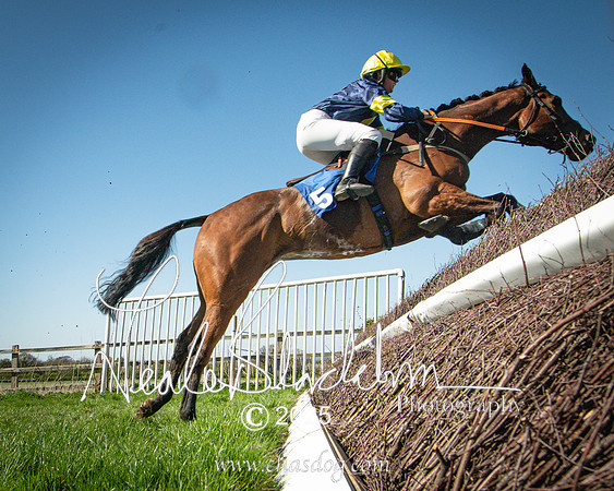 Race 5 - The restricted (80 of 113)