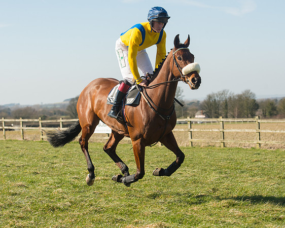 Race 1 Div 1 - 2M4F Maiden (38 of 117).jpg