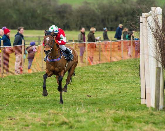Pony Race 2 (53 of 162)