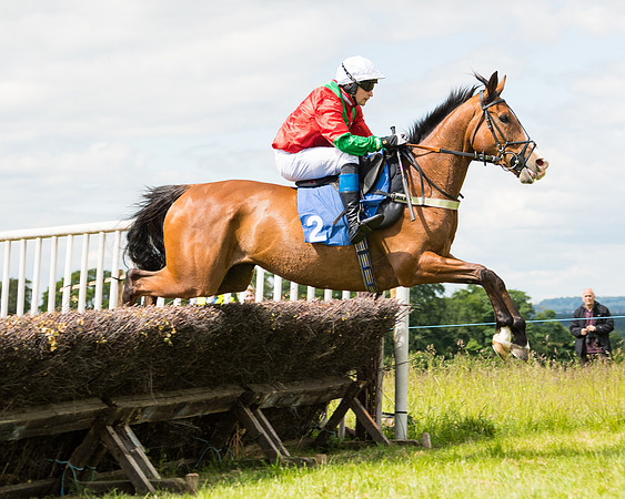 Race 2 - PPORA Novice Riders  (100 of 187)