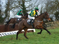 CHHC - Young Horse Maiden Division 2