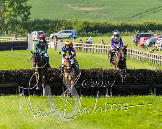 Race 6 - Owner trainer conditions (85 of 272)