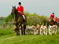 Ponies and Hounds 17
