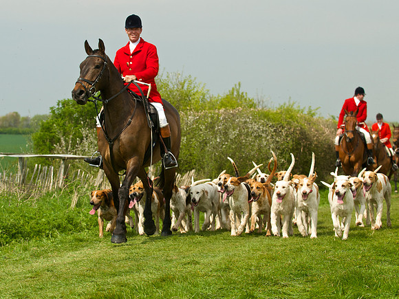 Ponies and Hounds 17
