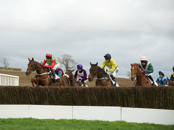 Race 5 - Restricted  34
