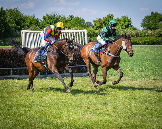 Race 3 The College and County Ladies Open Race (69 of 122)