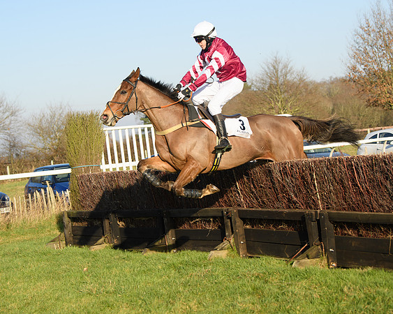 Race 2 - PPORA Novice Riders  (184 of 205)