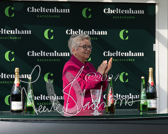 Race 1 - The Bottle Green Open Hunters steeplechase 2m62y (89 of 93)