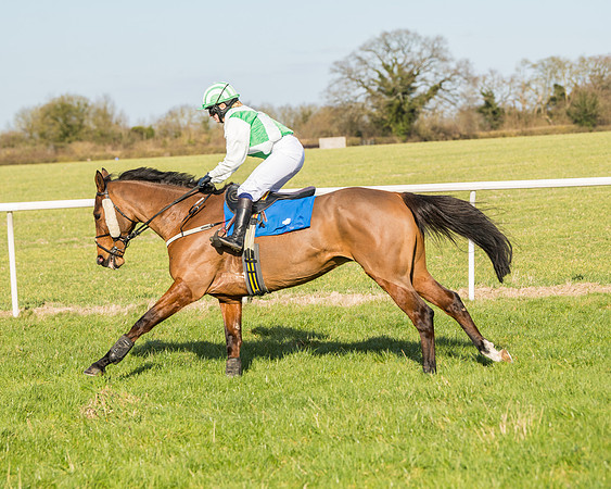 Race 3 - Ladies Open (9 of 156)
