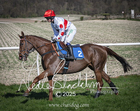 Race 6 - Veteran horse (32 of 109)