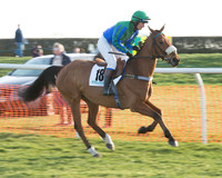 Race 7 - Novice Riders Race (19 of 145).jpg