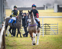 Pony Race 1 - 138cm (8 of 80)