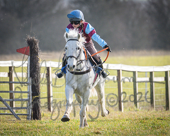 Pony Race 1 - 138cm (48 of 80)