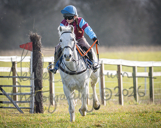 Pony Race 1 - 138cm (49 of 80)
