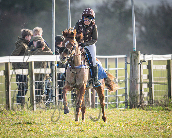 Pony Race 1 - 138cm (68 of 80)