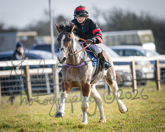 Pony Race 1 - 138cm (66 of 80)