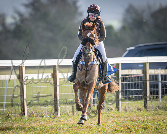 Pony Race 1 - 138cm (69 of 80)
