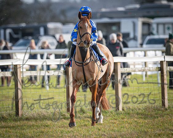 Pony Race 2 - 148cm (3 of 79)