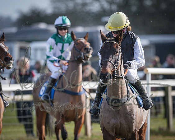 Pony Race 2 - 148cm (5 of 79)