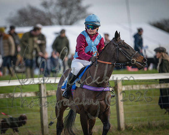 Pony Race 2 - 148cm (16 of 79)
