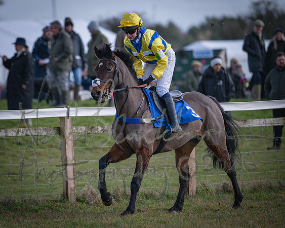 Pony Race 2 - 148cm (17 of 79)