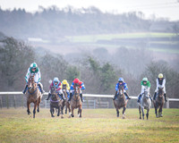 Pony Races