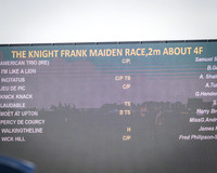Race 1 - 2m4f Maiden (1 of 460)