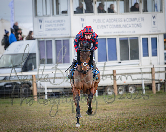 Race 1 - 2m4f Maiden (84 of 460)
