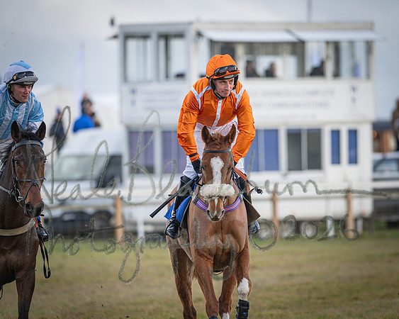 Race 1 - 2m4f Maiden (79 of 460)