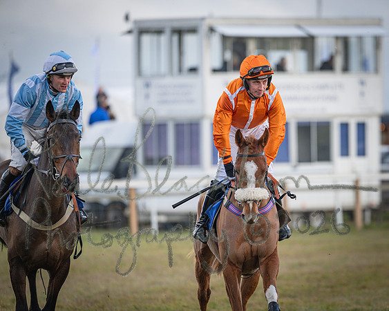 Race 1 - 2m4f Maiden (80 of 460)