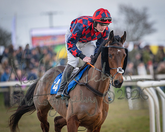 Race 1 - 2m4f Maiden (86 of 460)