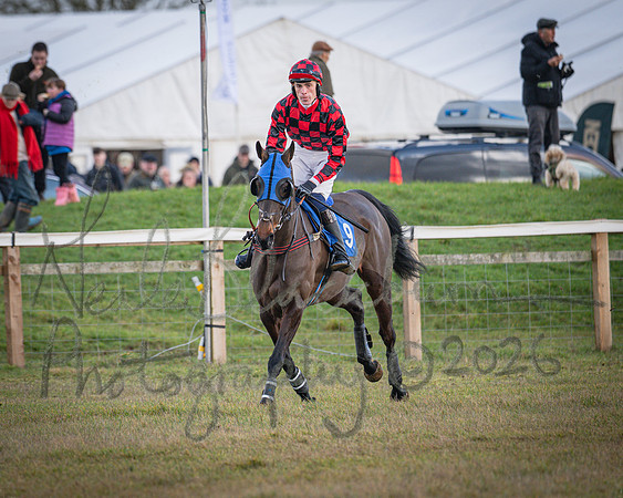 Race 1 - 2m4f Maiden (92 of 460)