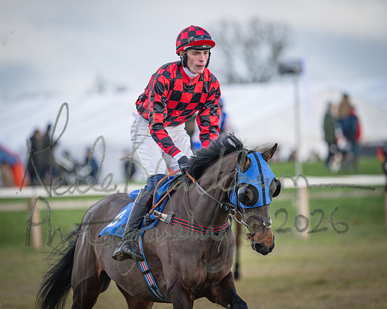 Race 1 - 2m4f Maiden (108 of 460)